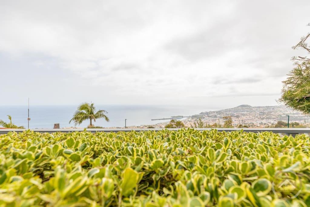 Vila Garden House Funchal  Exteriér fotografie